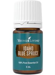 Świerk Niebieski olejek eteryczny (Picea pungens) | Idaho Blue Spruce, 5 ml