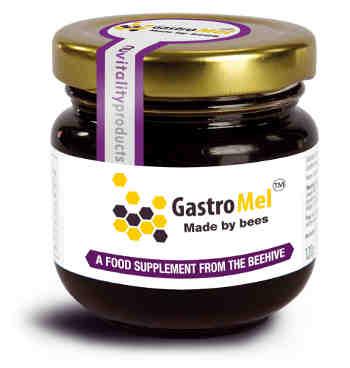Miód GastroMel 120 g