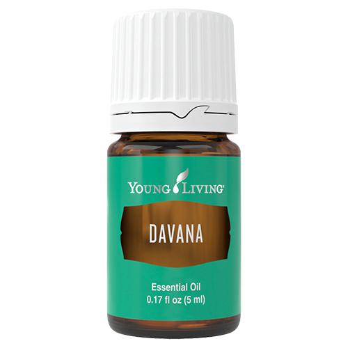 Davana olejek eteryczny (Artemisia pallens) | Davana Essential Oil, 5 ml