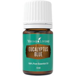 Eukaliptus Błękitny olejek eteryczny (Eucalyptus bicostata)
| Eucalyptus Blue Essential Oil, 5 ml