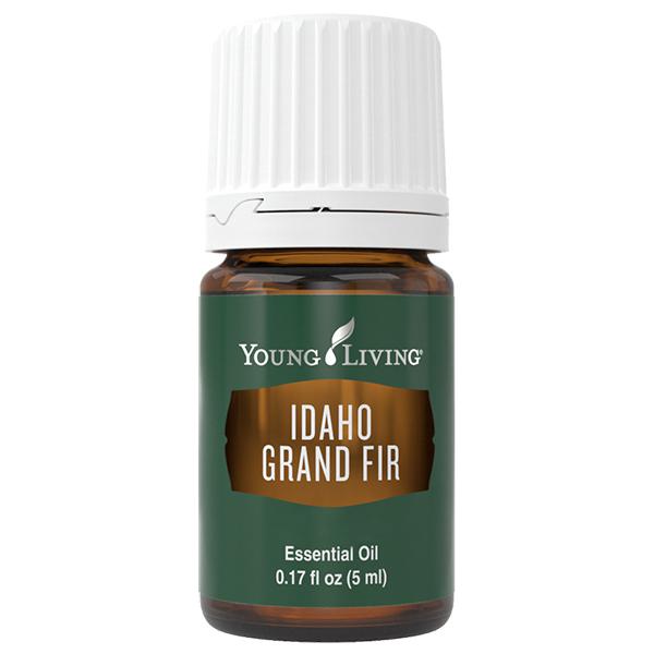 Jodła olbrzymia z Idaho (Abies grandis) 5 ml olejek eteryczny | Idaho Grand Fir Essential
Oil, 5 ml