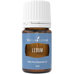 Ledum (Ledum groenlandicum) Essential Oil 5 ml