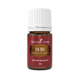 Drzewo Herbaciane olejek eteryczny (Melaleuca Alternifolia)
| Tea Tree Essential Oil, 5 ml