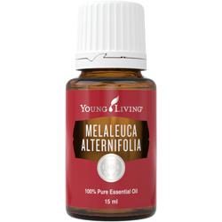 Drzewo Herbaciane olejek eteryczny (Melaleuca Alternifolia)
| Tea Tree Essential Oil, 15 ml