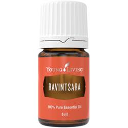 Olejki-eteryczne-single: Ravintsara olejek eteryczny (Cinnamomum camphora) |
Ravintsara Essential Oil, 5 ml | Young Living Essential Oils