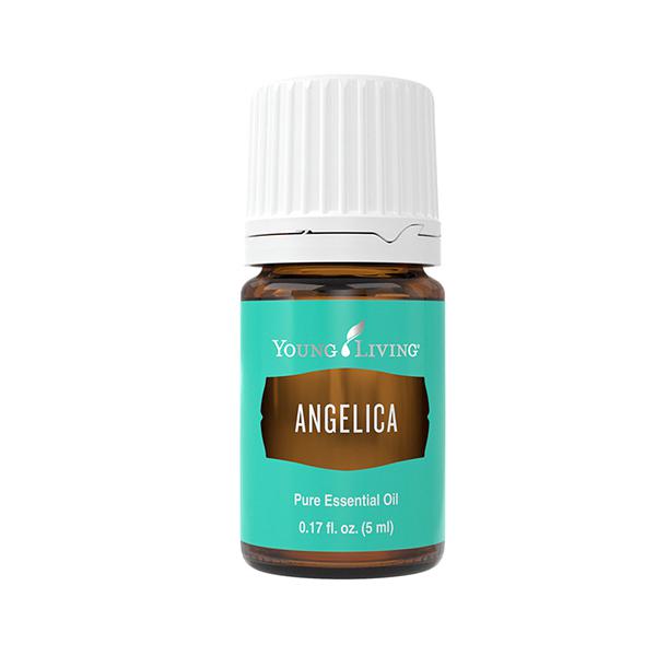 Dzięgiel olejek eteryczny (Angelica archangelica) | Angelica Essential Oil, 5 ml
