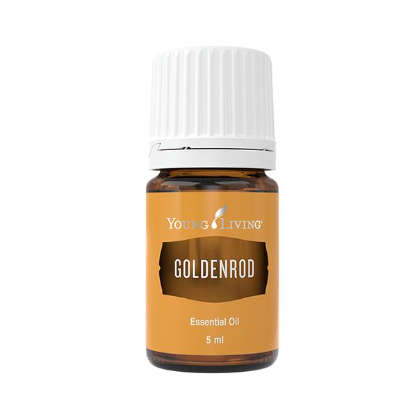 Nawłoć kanadyjska (Solidago canadensis) | Goldenrod Essential Oil, 5 ml