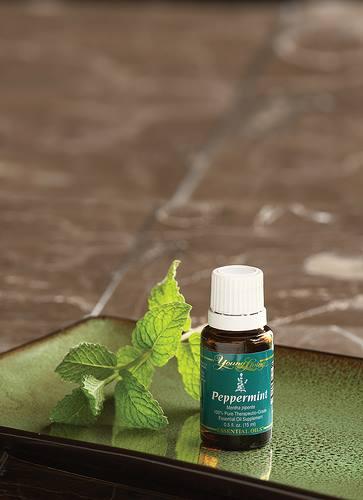 Mięta pieprzowa / Peppermint (Mentha piperita) Young Living Essential Oils | Magia-Urody.pl